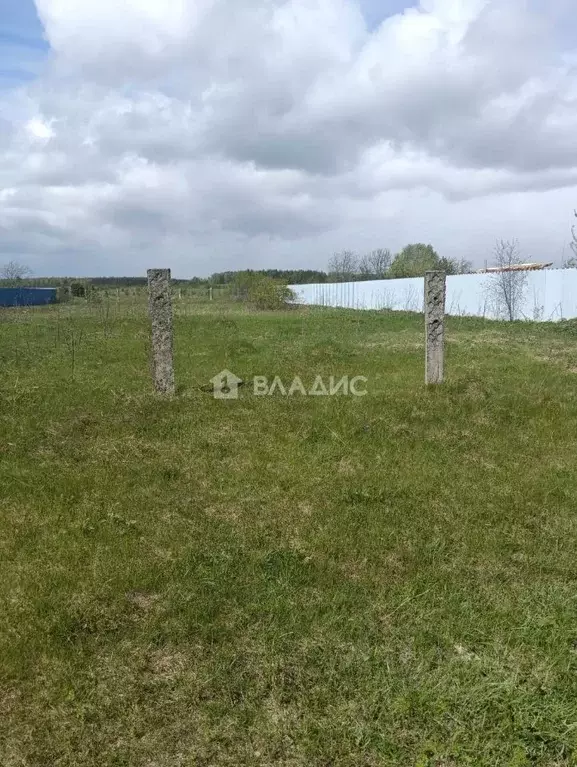 Участок в Владимирская область, Ковровский район, Новосельское с/пос, ... - Фото 2