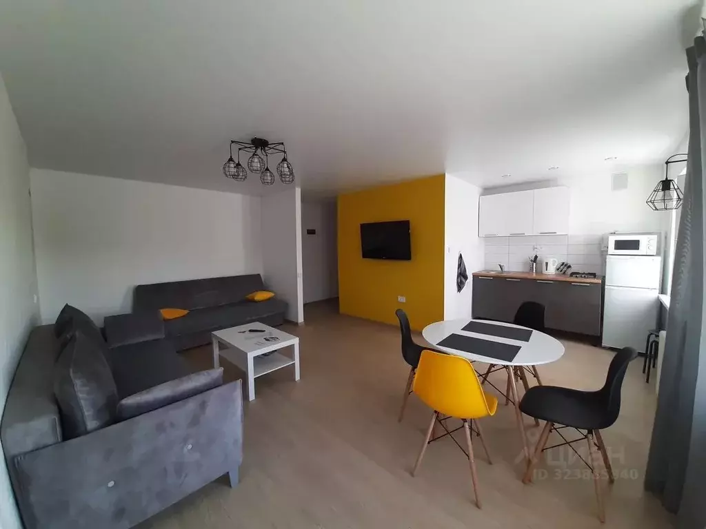 2-к кв. Псковская область, Псков ул. Красных Партизан, 17 (45.0 м) - Фото 2