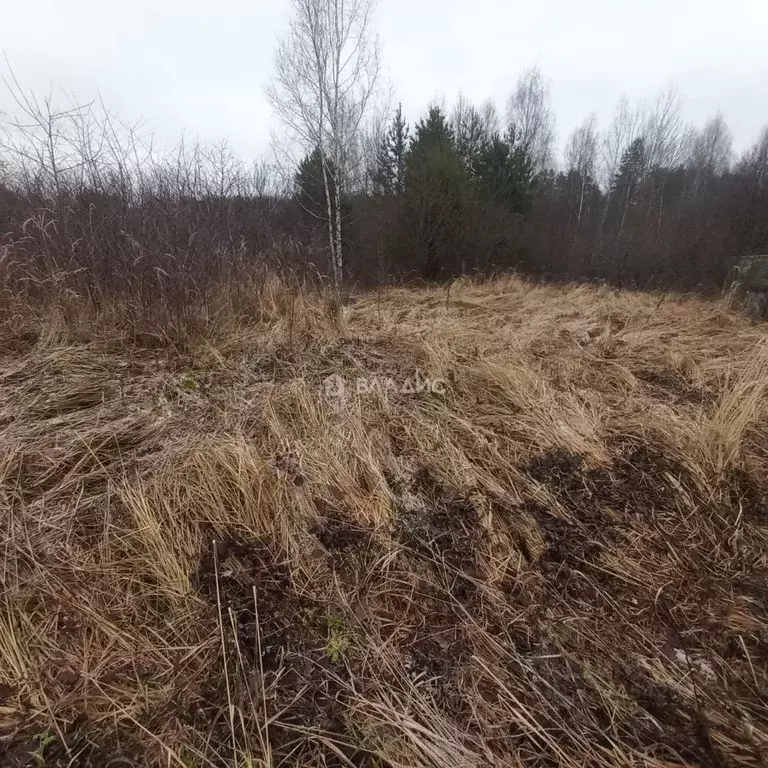 Участок в Владимирская область, Собинский муниципальный округ, д. ... - Фото 1