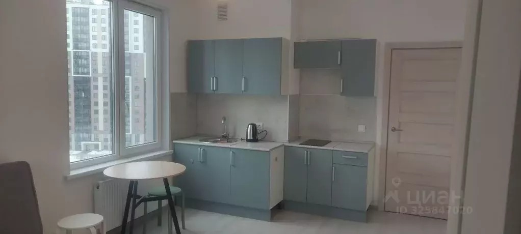 Студия Санкт-Петербург ул. Верхне-Каменская, 11к1 (24.7 м) - Фото 1