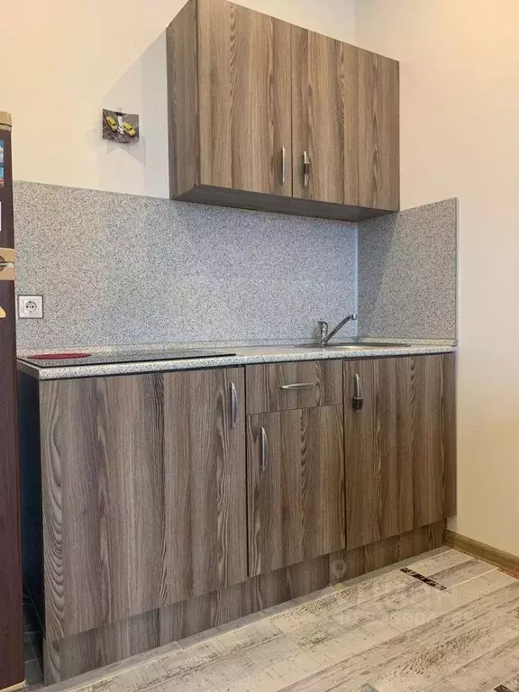 Студия Москва пос. Коммунарка, ул. Бачуринская, 7к1 (25.0 м) - Фото 2