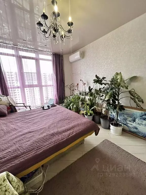 Студия Краснодарский край, Новороссийск Мысхакское ш., 59 (24.0 м) - Фото 1