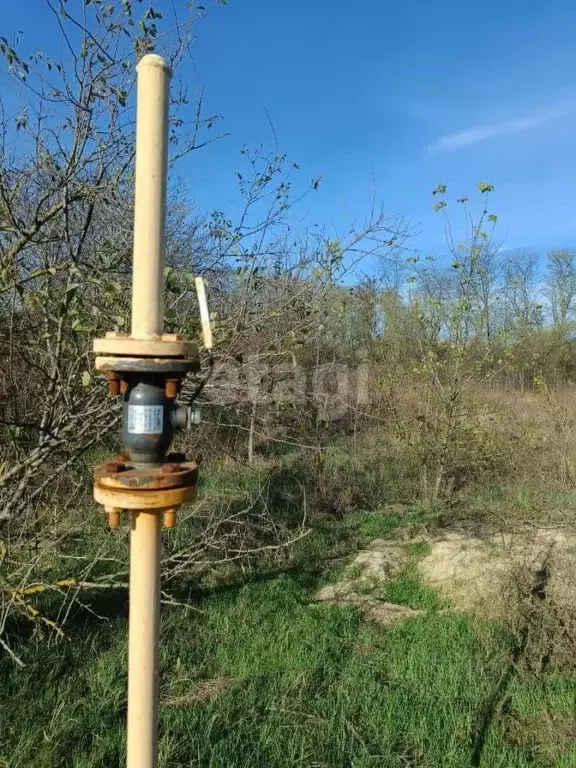 Участок в Краснодарский край, Анапа муниципальный округ, Вестник хут. ... - Фото 1