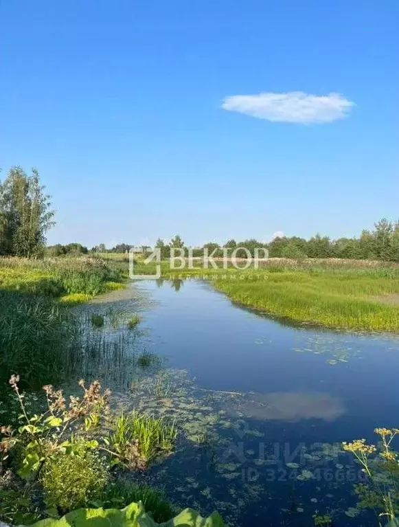 Участок в Ярославская область, Ярославский муниципальный округ, Соньга ... - Фото 1