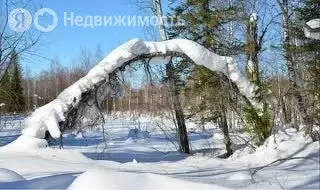 Участок в село Артыбаш, Пихтовая улица (10 м) - Фото 0