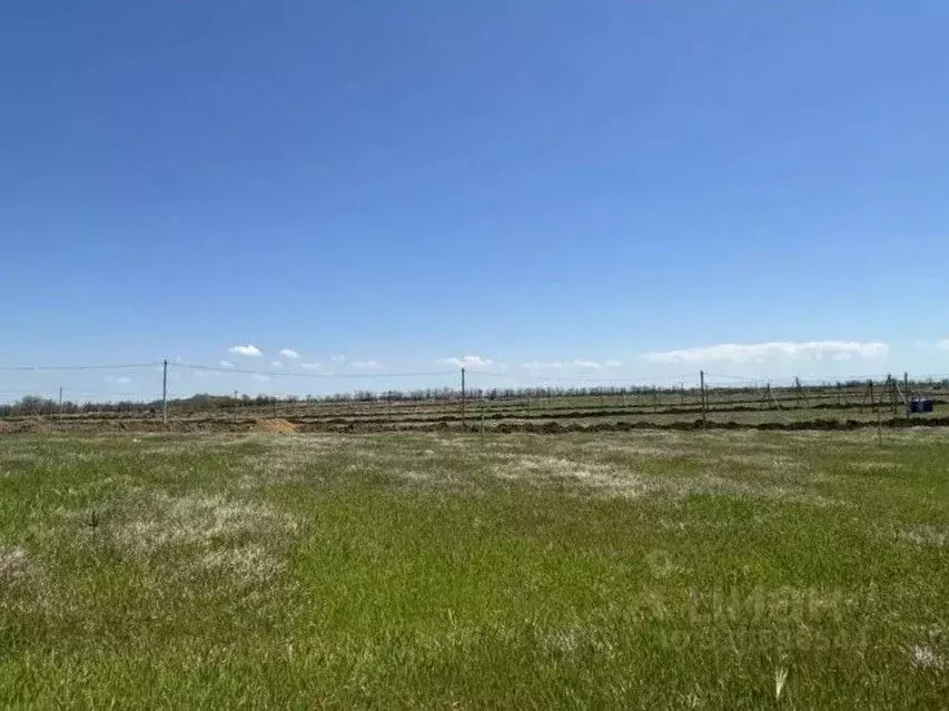 Участок в Крым, Симферопольский район, Николаевка пгт ул. Звездная ... - Фото 1