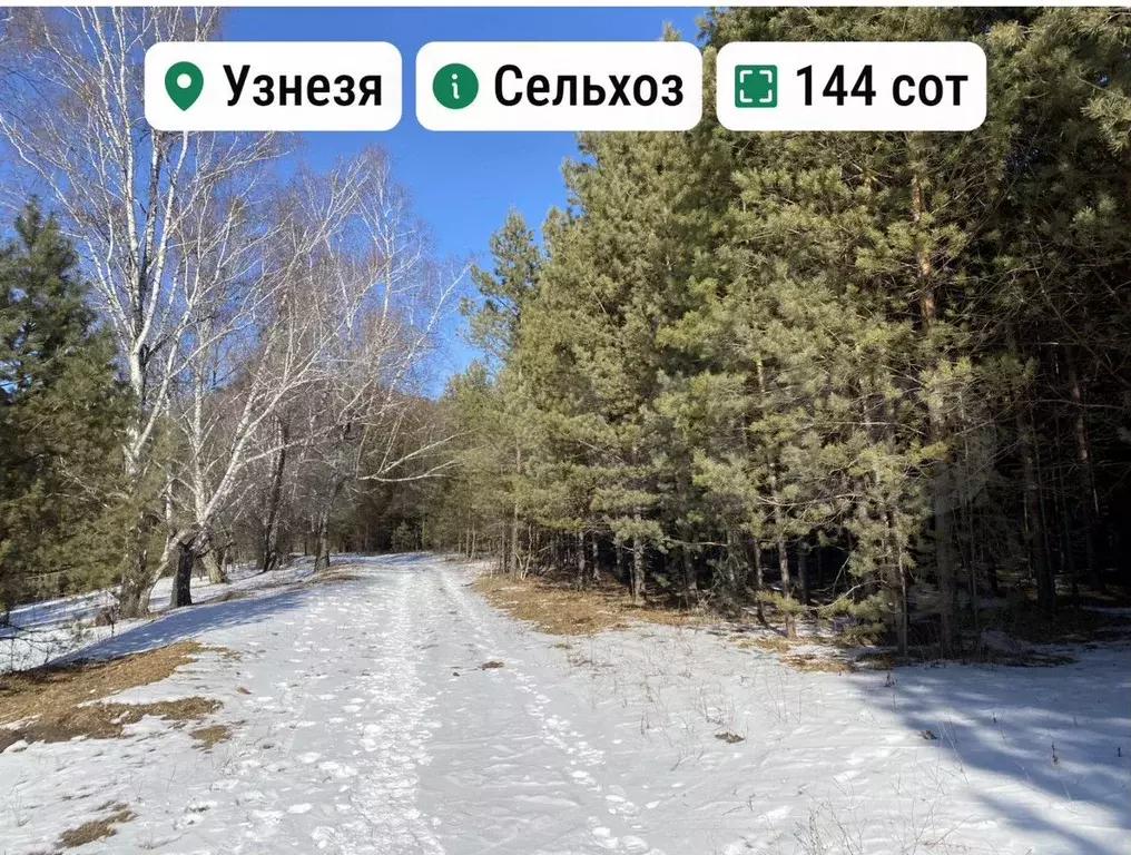 Участок 1,45 га (СНТ, ДНП) - Фото 0