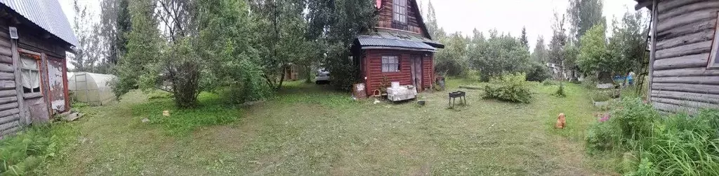 Дом в Ленинградская область, Лужский район, Мшинское с/пос, Мшинская ... - Фото 2