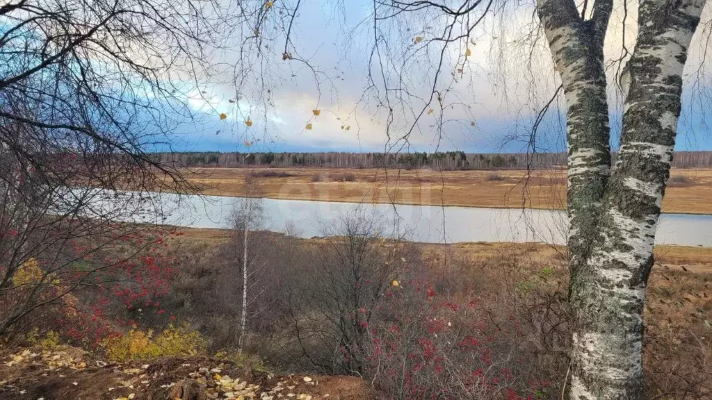 Участок в Архангельская область, Вычегодский рп ул. Лесная (5.4 сот.) - Фото 1