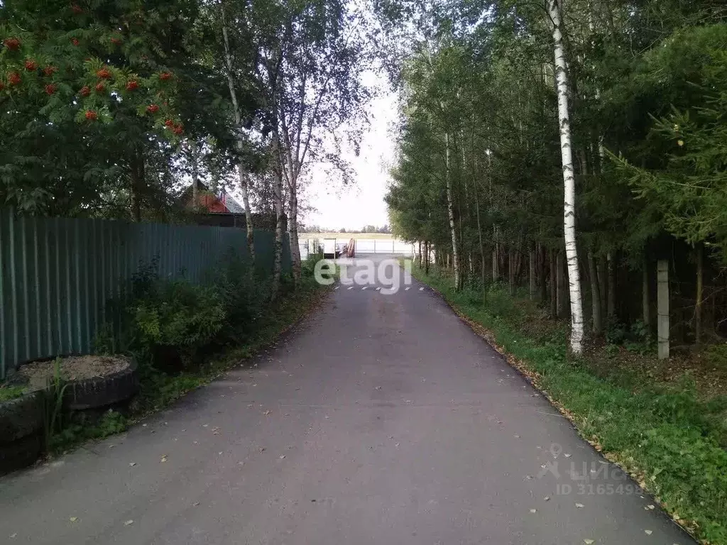 Участок в Санкт-Петербург, Санкт-Петербург, Павловск Звездочка СНТ, ... - Фото 0
