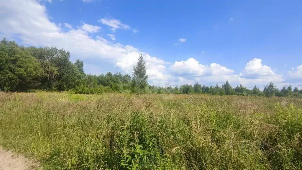 Участок в Ярославская область, Ярославский муниципальный округ, Новые ... - Фото 1