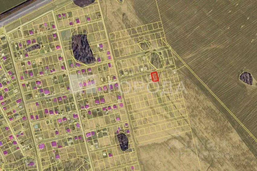 Участок в Новосибирская область, Новосибирский район, Березовский ... - Фото 2