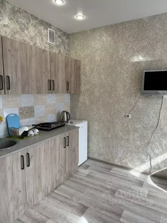 Студия Тюменская область, Тюменский муниципальный округ, д. Патрушева ... - Фото 1