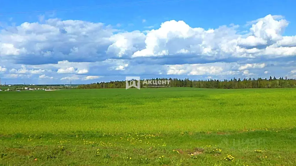 Деревня зеленое поле фото