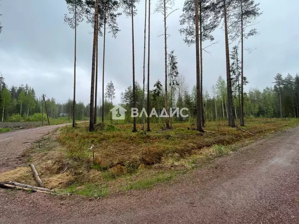 Участок в Ленинградская область, Выборгский район, Рощино пгт проезд ... - Фото 1
