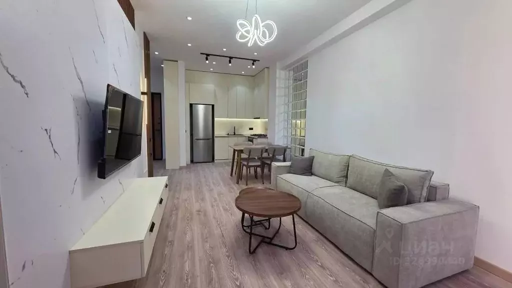 1-к кв. Краснодарский край, Сочи Виноградная ул., 43В (40.0 м) - Фото 2