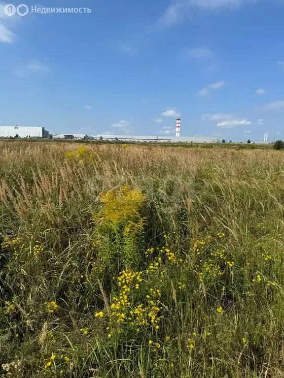 Участок в Калужская область, Ферзиковский муниципальный округ, ... - Фото 2