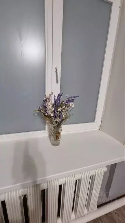 Студия Чувашия, Чебоксары ул. Декабристов, 14к1 (24.0 м) - Фото 1