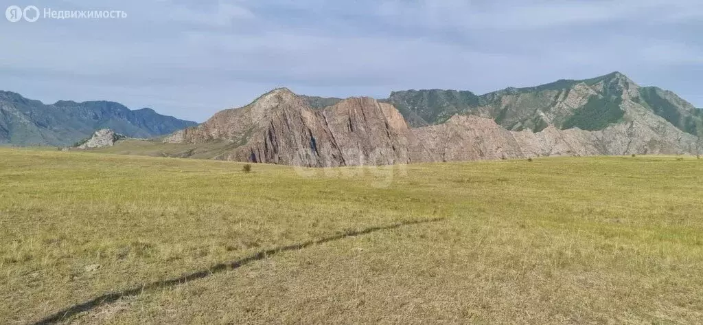 Участок в Онгудайский район, село Онгудай (100 м) - Фото 1