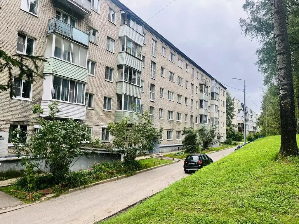 1-к кв. Московская область, Пересвет Сергиево-Посадский район, ул. ... - Фото 1