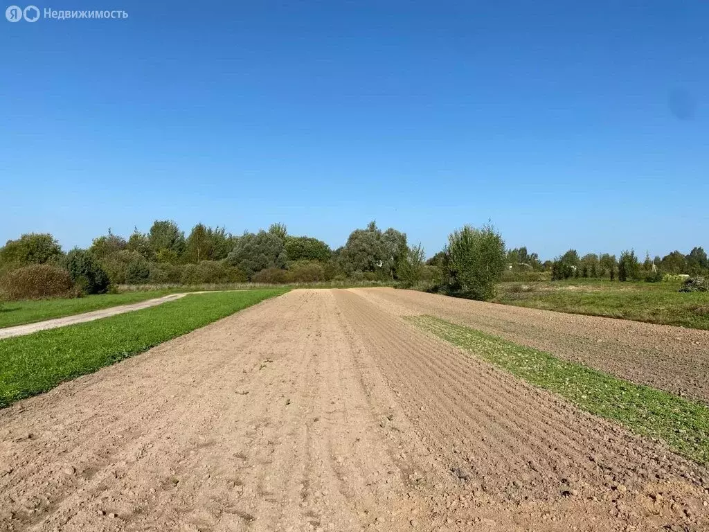 Участок в Ракомское сельское поселение, деревня Нехотилово, 16 (10 м) - Фото 0