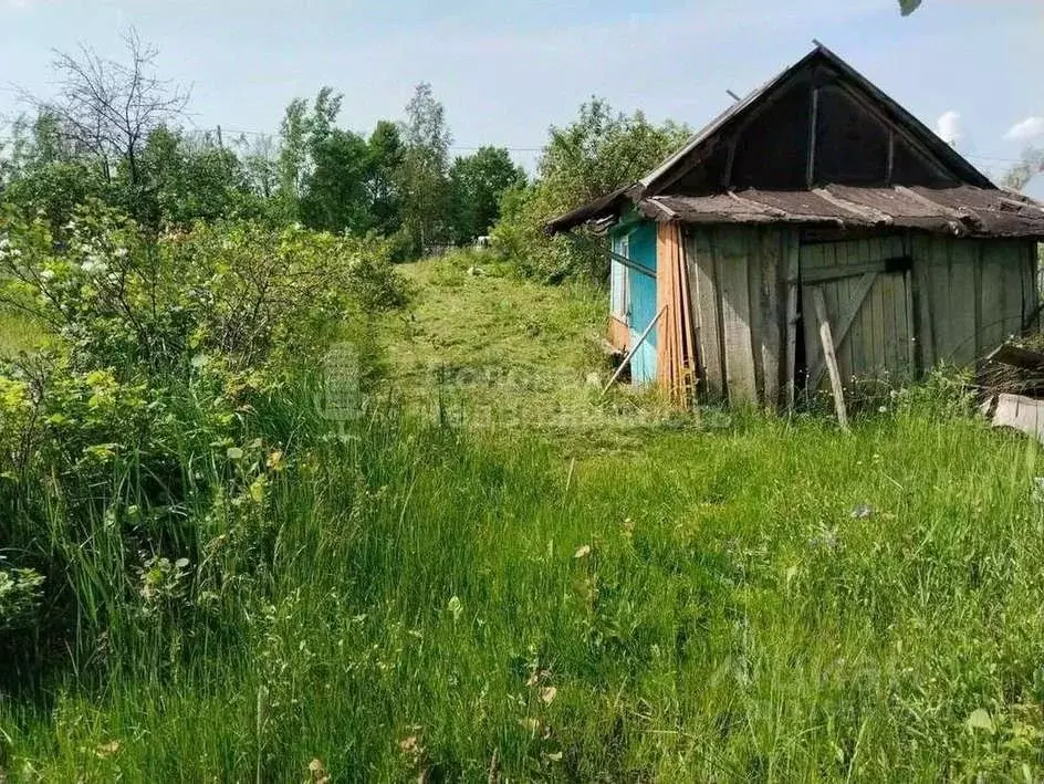 Участок в Новгородская область, Новгородский район, Ермолинское с/пос, ... - Фото 1