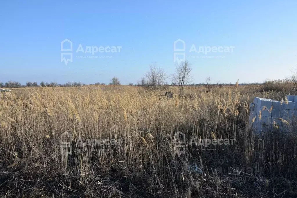 Участок в Волгоградская область, Краснослободск Среднеахтубинский ... - Фото 1