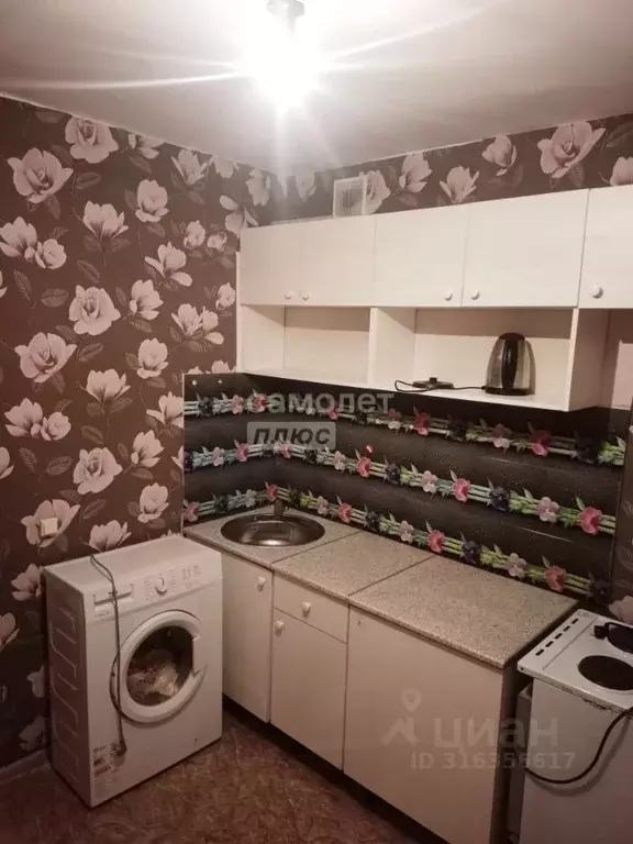1-к кв. Алтайский край, Алейск ул. Ширшова, 22 (34.0 м) - Фото 1