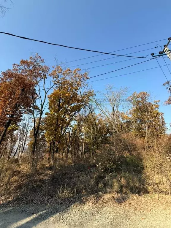 Участок в Приморский край, Артем ул. 1-я Рабочая (8.0 сот.) - Фото 2