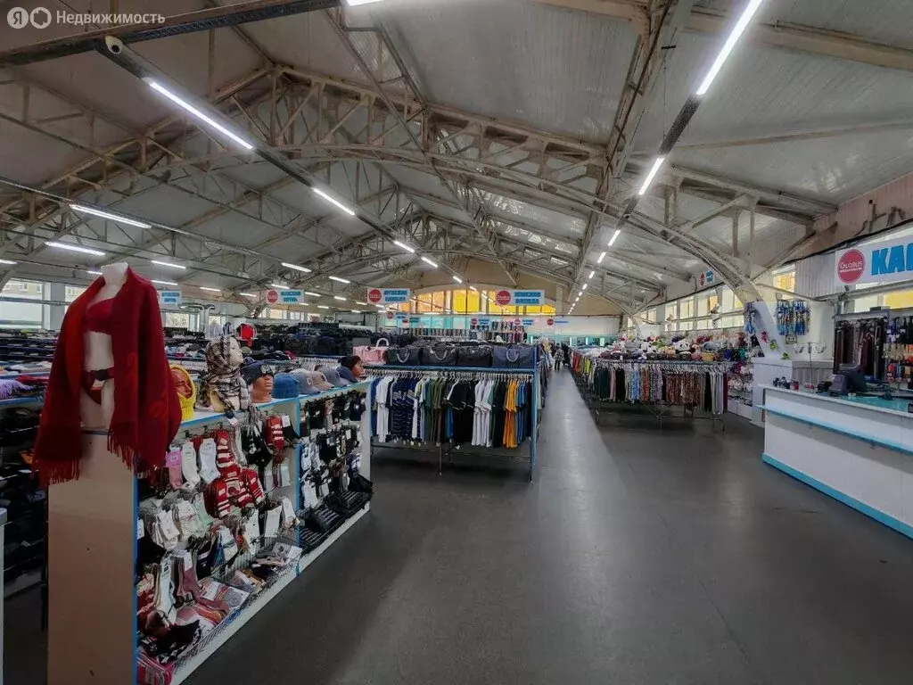 Помещение свободного назначения (900 м) - Фото 2