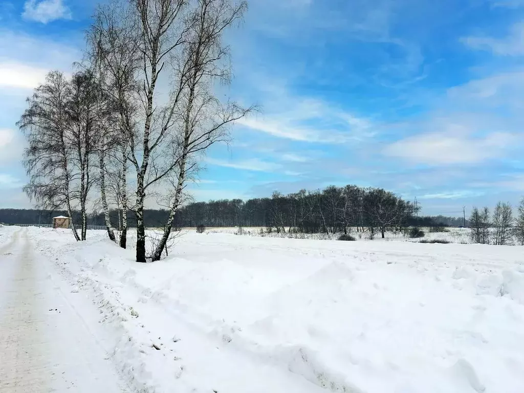 Участок в Московская область, Домодедово городской округ, с. ... - Фото 2