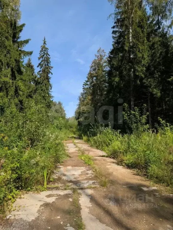 Участок в Московская область, Одинцовский городской округ, д. Сивково, ... - Фото 1