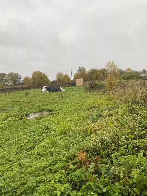 Участок в Ленинградская область, Ломоносовский район, Лопухинское ... - Фото 0