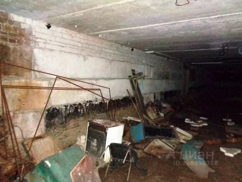 Помещение свободного назначения в Брянская область, Брянск ул. ... - Фото 1