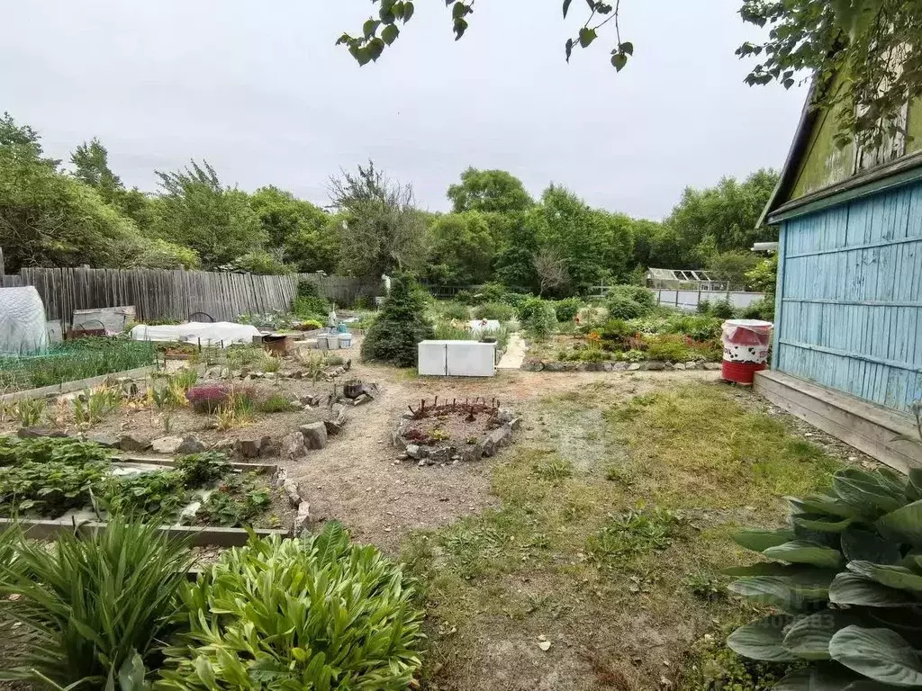 Участок в Сахалинская область, Южно-Сахалинск Картонажник СТ, 19 (8.5 ... - Фото 1