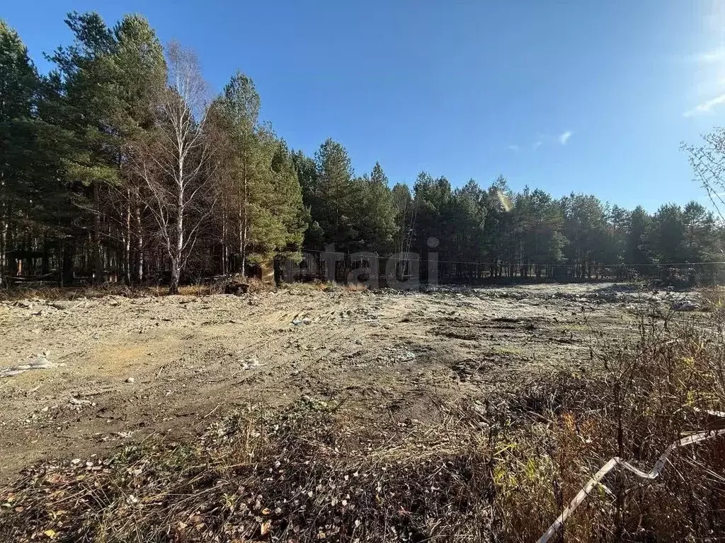 Участок в Пензенская область, Бессоновский район, пос. Подлесный, ... - Фото 2