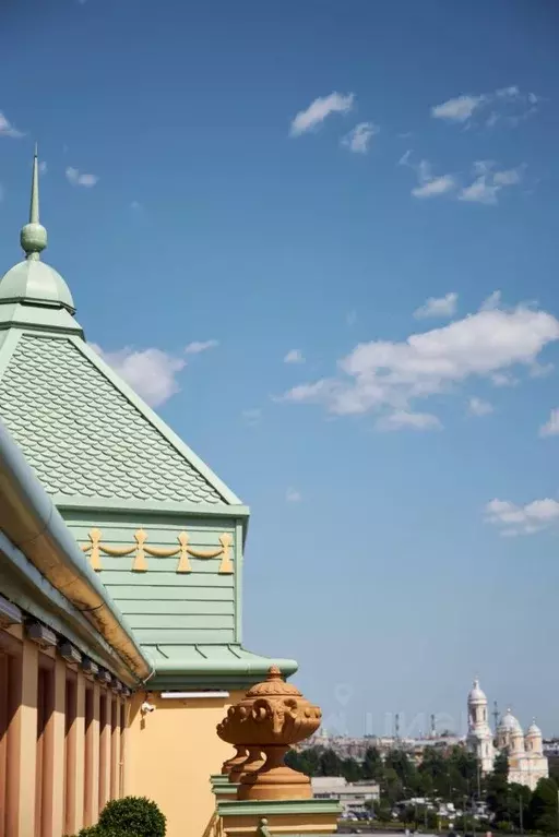 Комната Санкт-Петербург 2-я Васильевского острова линия, 61/30 (30.0 ... - Фото 2