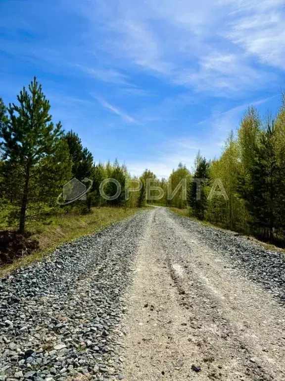 Участок в Тюменская область, Тюменский район, Онегин кп  (16.0 сот.) - Фото 0
