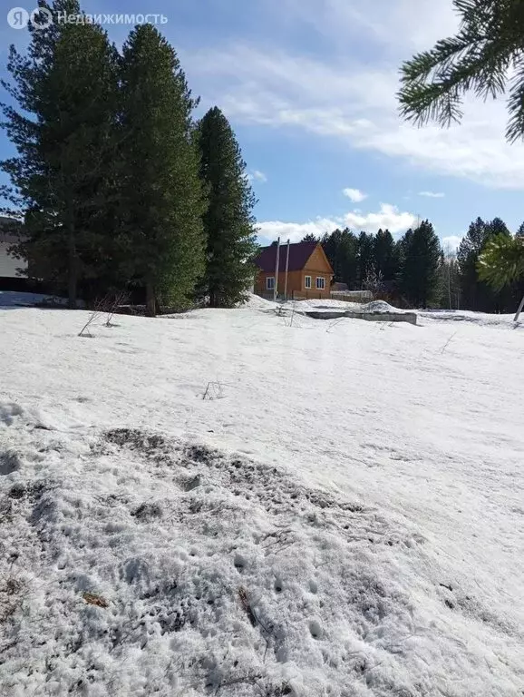 Участок в Таштагол, улица Урицкого (15 м) - Фото 2