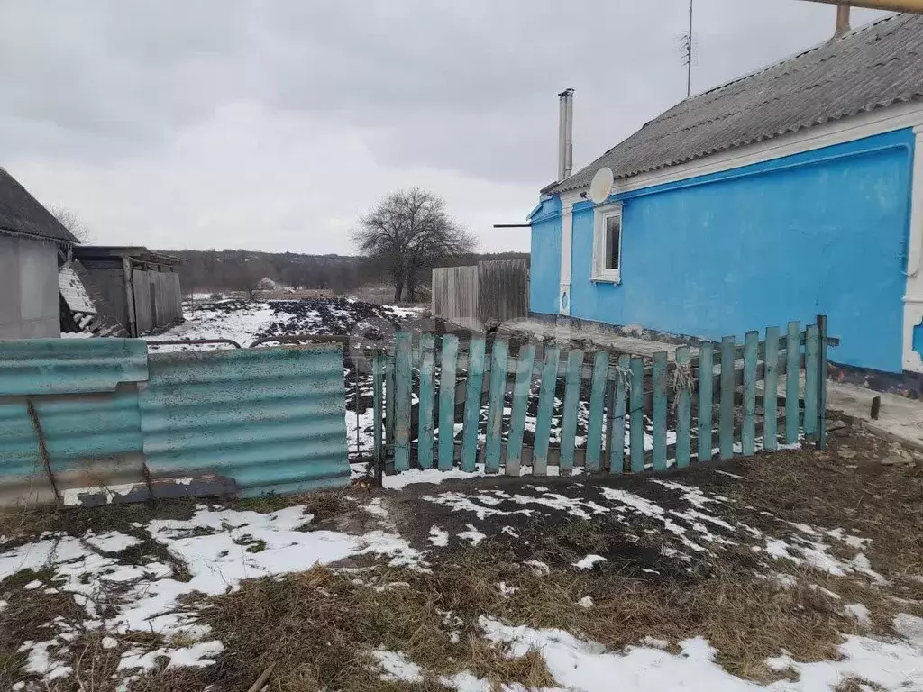 Участок в Белгородская область, Корочанский муниципальный округ, с. ... - Фото 2