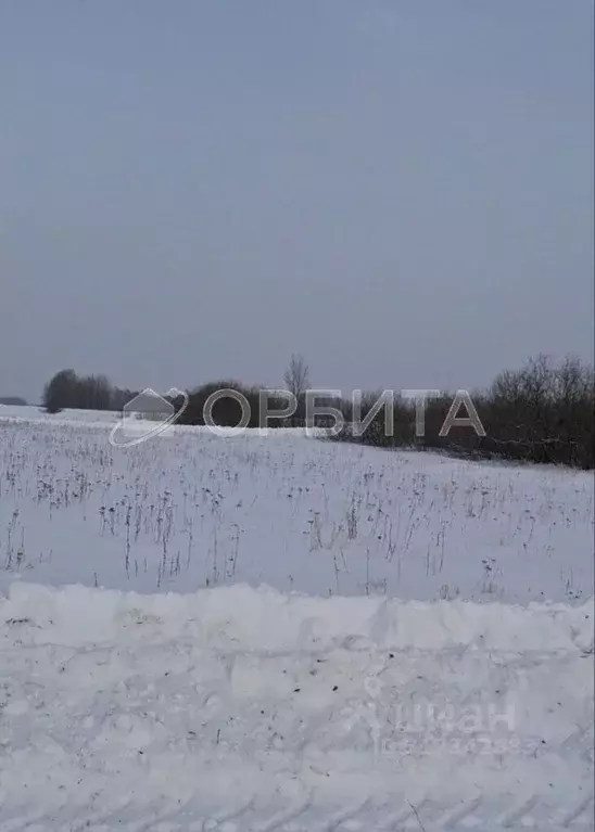 Участок в Тюменская область, Тюменский район, д. Марай  (11.29 сот.) - Фото 0