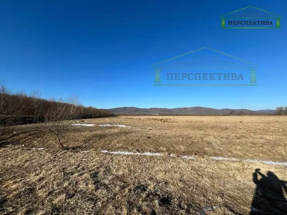 Участок в Приморский край, Артемовский городской округ, с. Ясное ул. ... - Фото 1