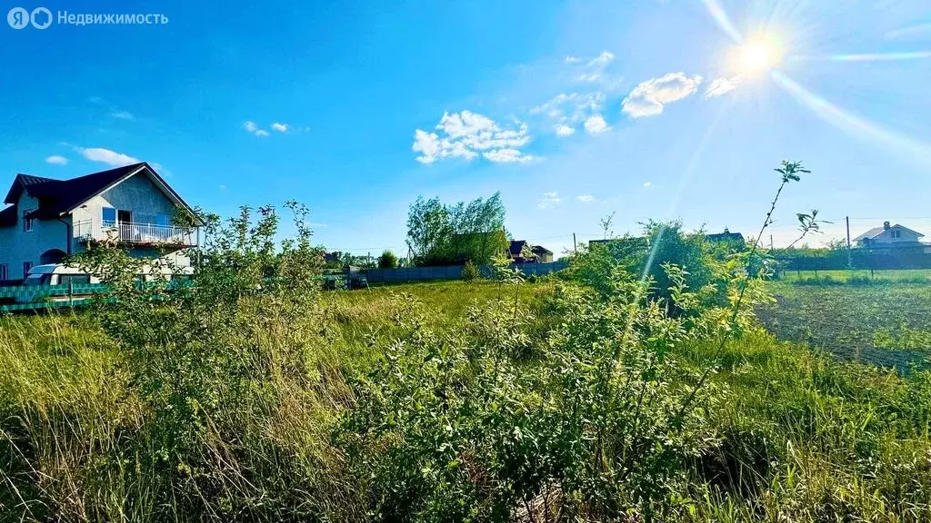 Участок в Калининградская область, Зеленоградский муниципальный округ, ... - Фото 1