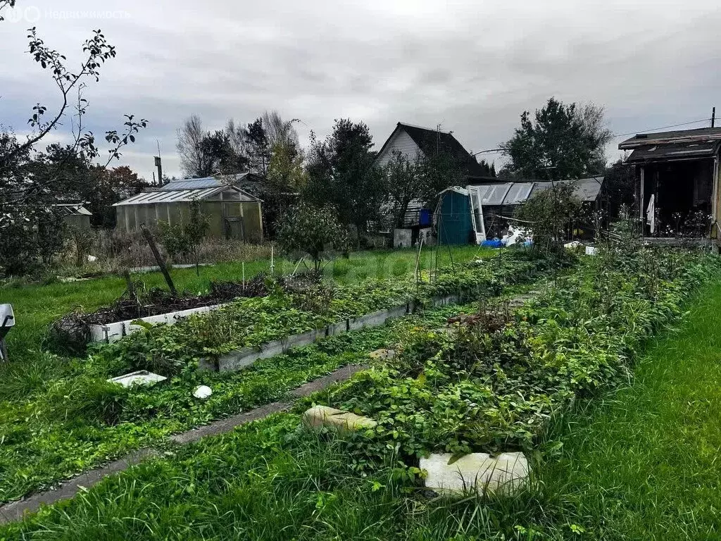 Участок в Шлиссельбург, СНТ Шлиссельбуржец, Лесная улица (6.6 м) - Фото 2