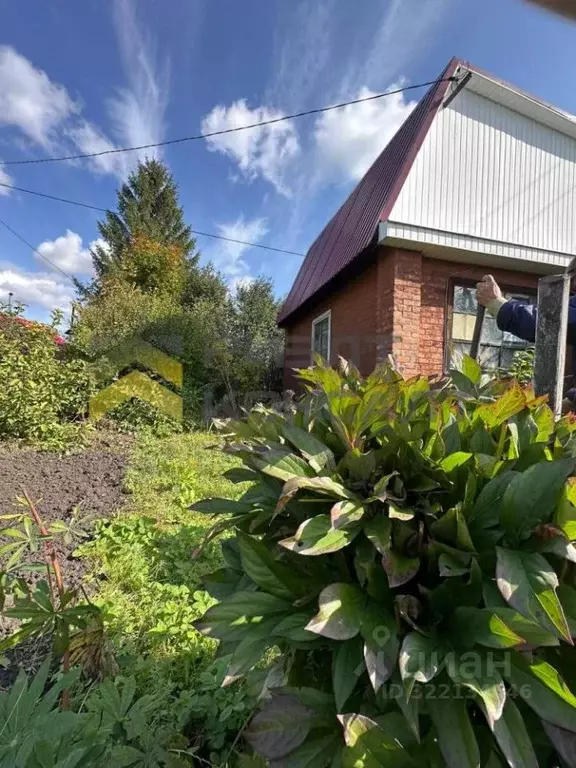 Дом в Омская область, Омск СОСН Механизатор тер., аллея 1-я (28 м) - Фото 1