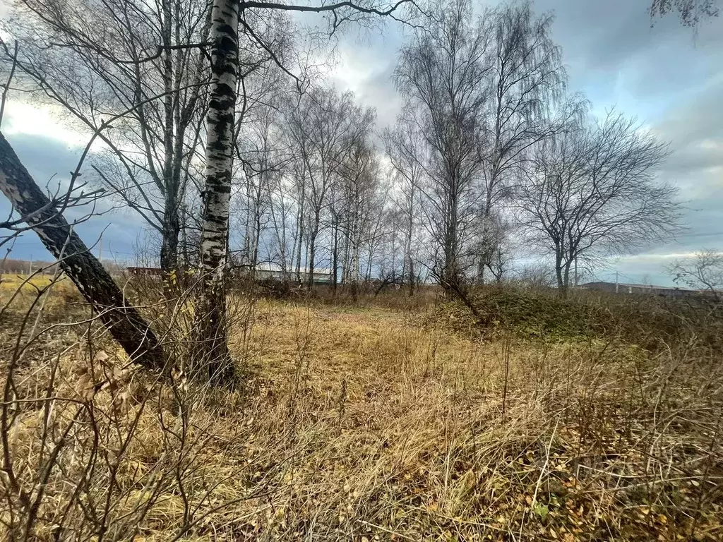 Участок в Московская область, Ступино городской округ, с. Ивановское ... - Фото 0