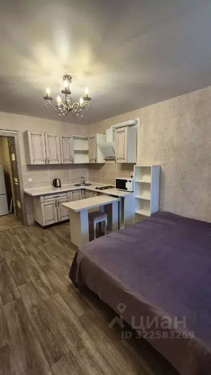 Студия Пензенская область, Пенза ул. Ново-Казанская, 7А (22.0 м) - Фото 2