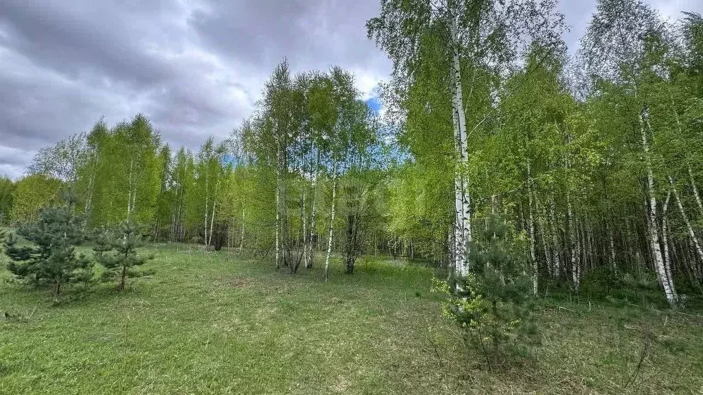 Участок в Нижегородская область, Володарский муниципальный округ, ... - Фото 0