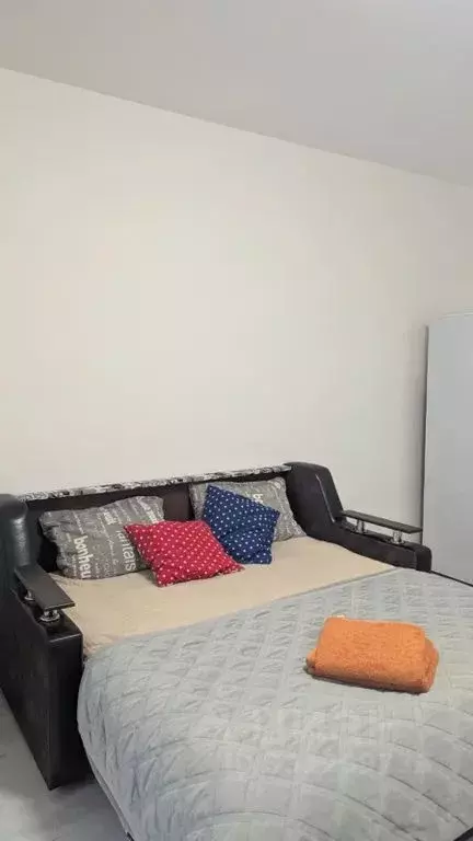 Студия Санкт-Петербург аллея Арцеуловская, 19 (27.0 м) - Фото 1