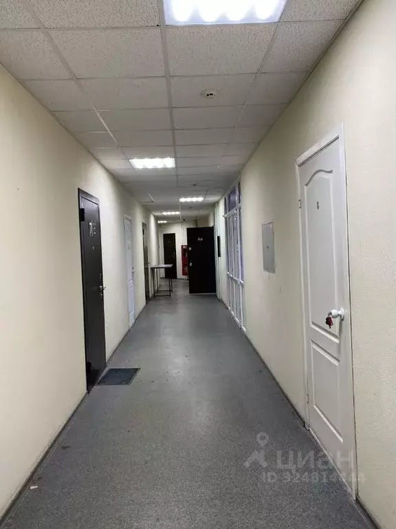 Офис в Архангельская область, Архангельск ул. Карла Либкнехта, 19 (146 ... - Фото 2